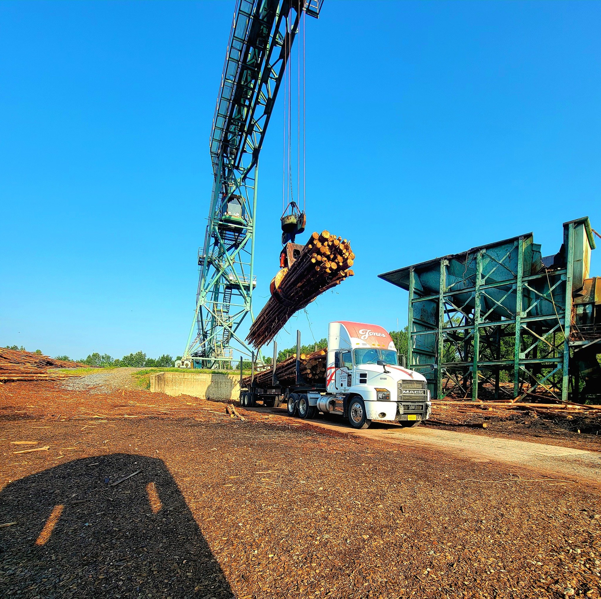 Dedicated JoLo open deck truck at a a forestry mill waiting below a crane to be loaded with logs. 